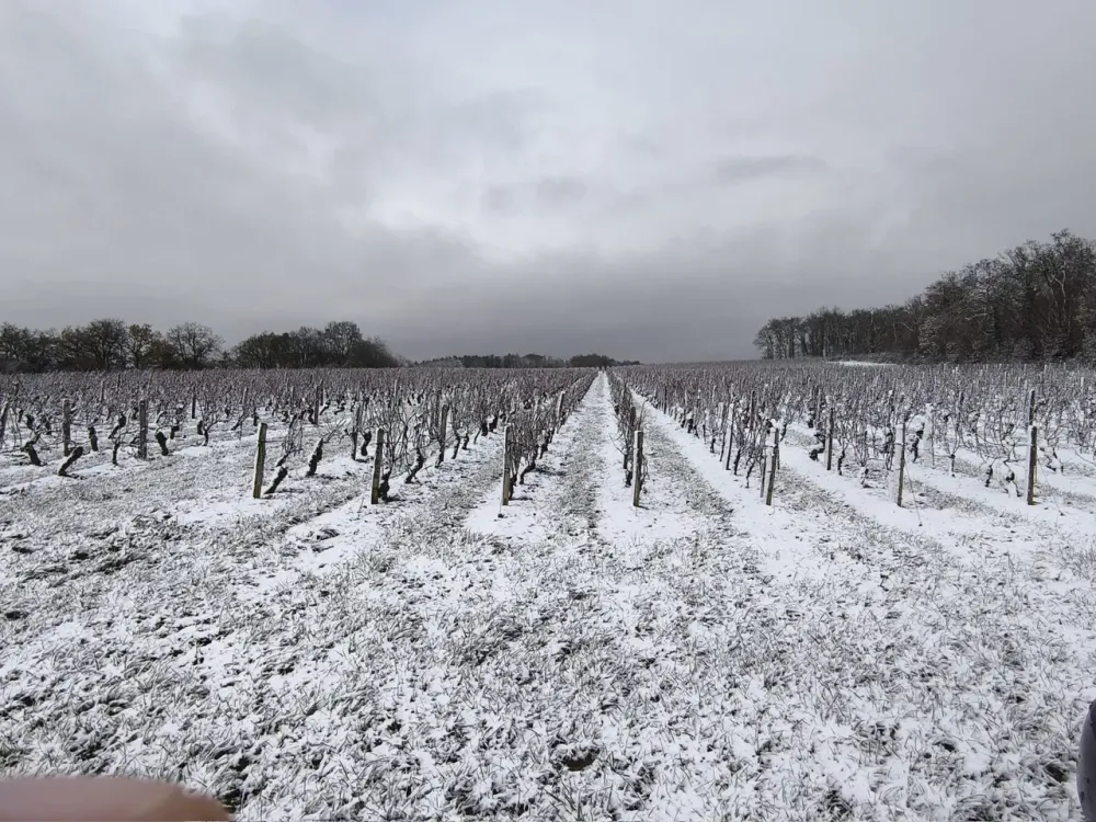 Le domaine familial des Carmes