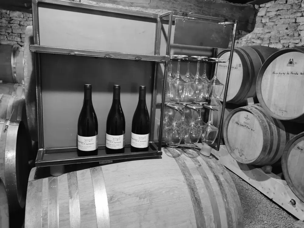 Nos vins du Mâconnais