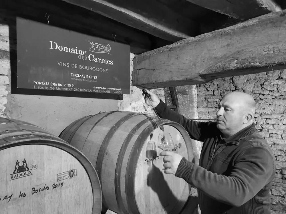 Rencontrez votre vigneron autour d’une dégustation de vins