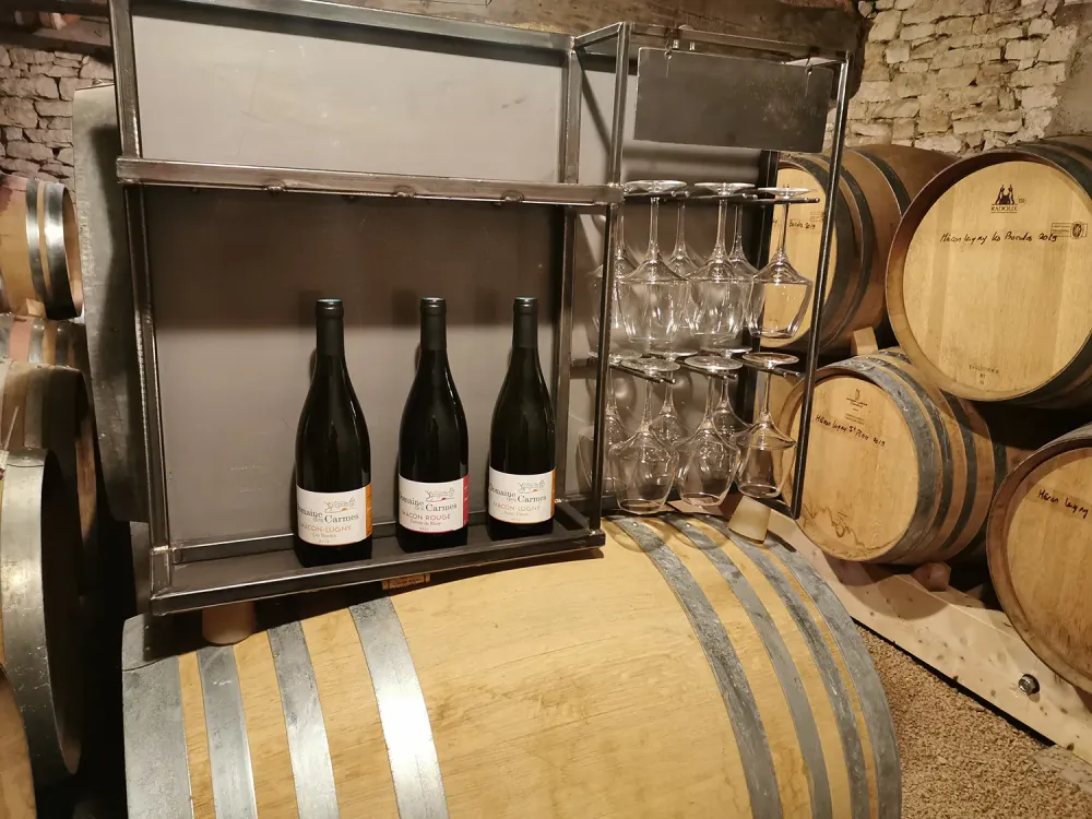 Dégustation de vin à Bissy-la-Mâconnaise